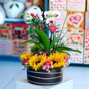 Floral Nápoles