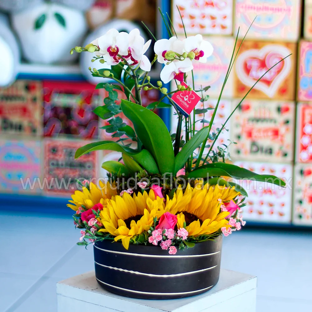 Floral Nápoles