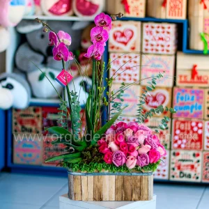 Floral Pamplona