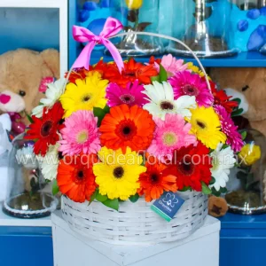 Canasta Gerberas Jumbo