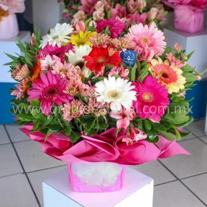 12 Gerberas Envueltas