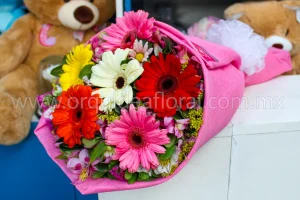 6 Gerberas Premium