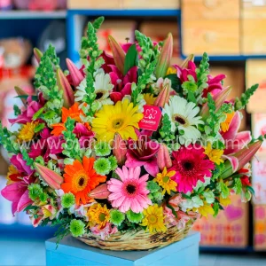 Canasta Mixta Premium