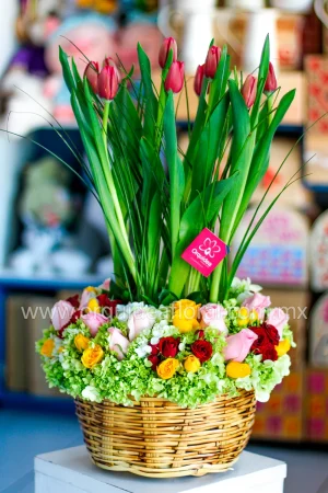 Canasta de Tulipanes