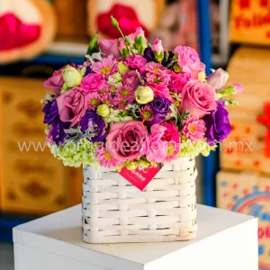 Canasta Vintage Chica