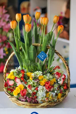 Canasta de Tulipanes Premium