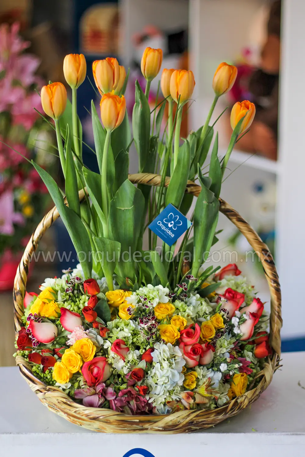 Canasta de Tulipanes Premium