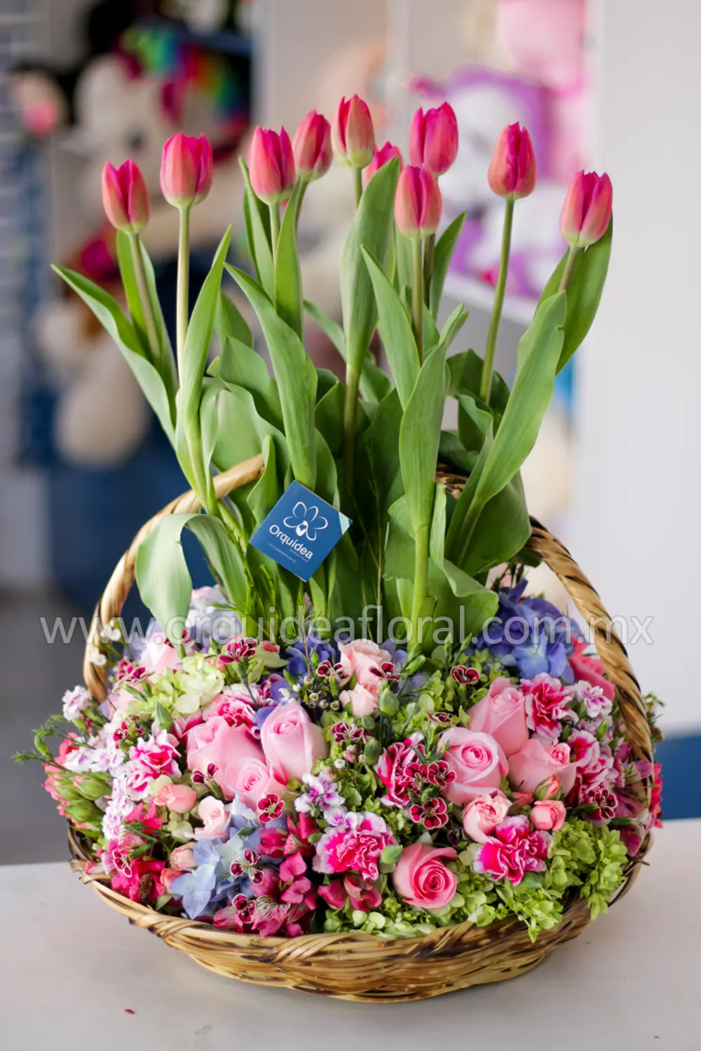 Canasta de Tulipanes Premium