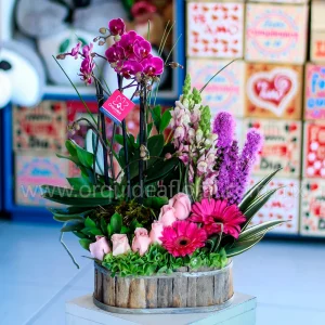 Con Orquídeas