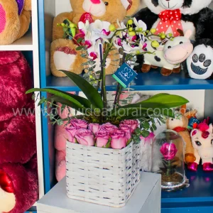 Floral Mónaco