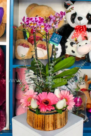 Floral Viena