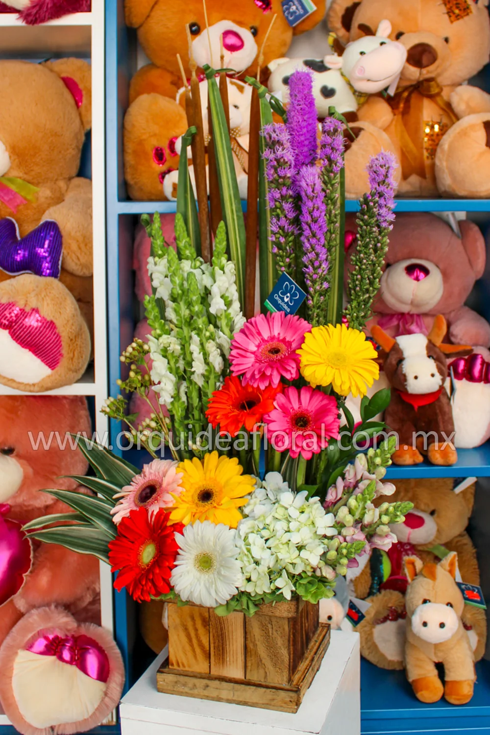 Floral Zamora