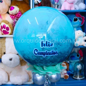 Globo Burbuja Grande