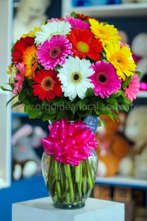 Jarrón 25 Gerberas
