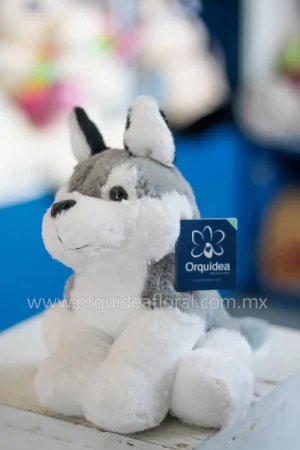 Lobo Gris Mini