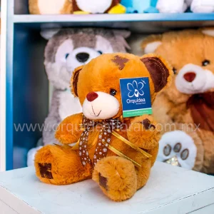 Peluche Mini