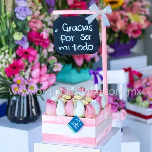 Pizarrón Rustico Rosa Pastel & Ferreros