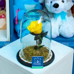 Rosa Amarilla Eterna Chica