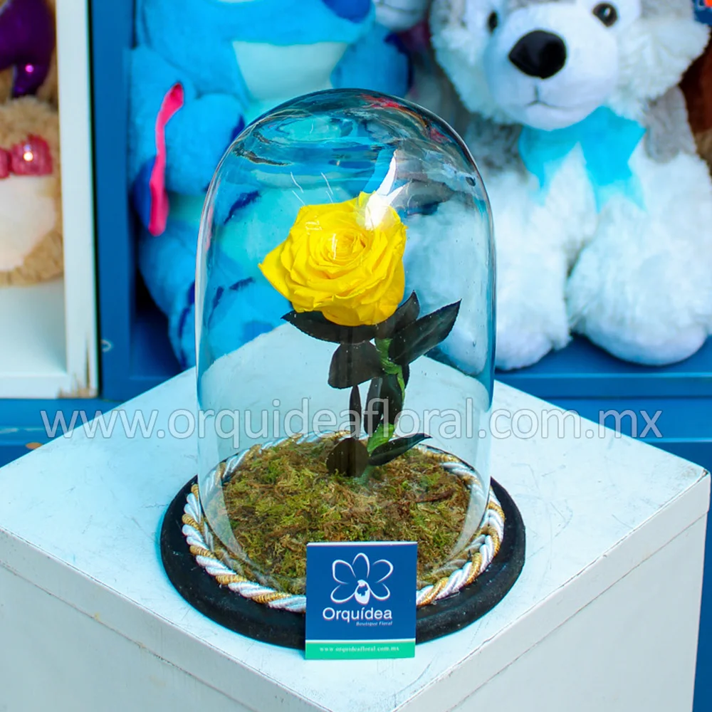 Rosa Amarilla Eterna Chica